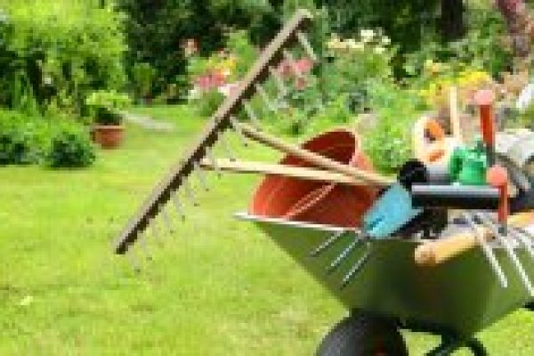 Landscape Gardening Pattaya garden maintenance garden services pattaya garden maintenance service garden maintenance pattaya