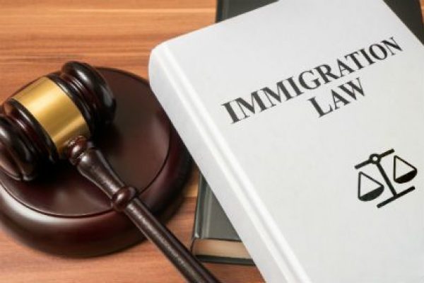 Immigration Law Services