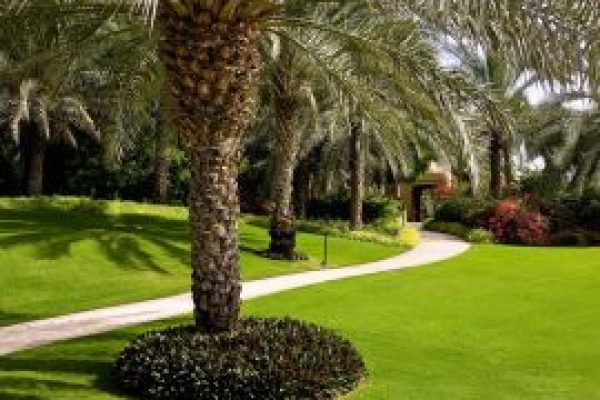 landscape pattaya Landscape Gardening Pattaya garden maintenance garden services pattaya garden maintenance service garden maintenance pattaya landscape pattaya Landscape Gardening Pattaya garden maintenance garden services pattaya garden maintenance service garden maintenance pattaya
